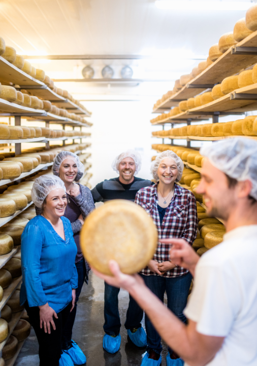 Experience a guided tour of our cheese production facility!